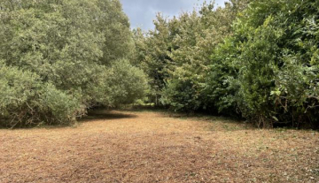 2022-09-06 13.26.57_640x480.jpg